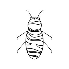 insect bug icon image vector illustration design  black line black line