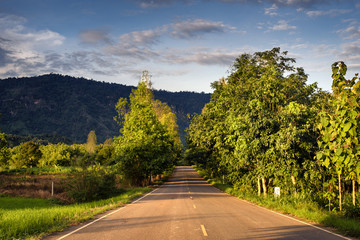 The way to the village with nature along the way.