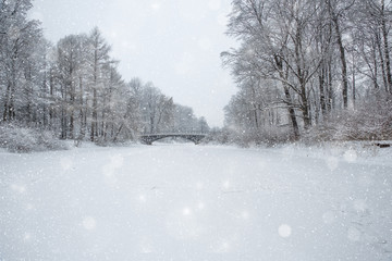 Winter wonderland scene background, landscape. Trees, forest in snow. Christmas, New Year time