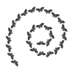 butterflies spiral insect bug icon image vector illustration design  black and