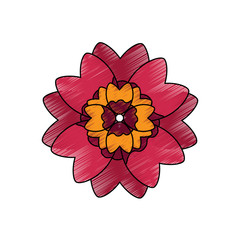 single flower topview con image vector illustration design  sketch style