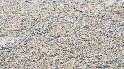 seamless texture of sand background