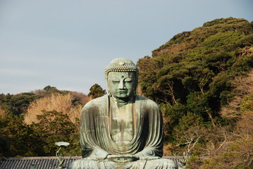 Statue of Great Buddha or originaly Daibutsu at Kotoku-in Temple in Kamakura, Japan