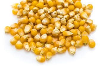 Popcorn Seeds, Studio Close Up Shot, on White Background