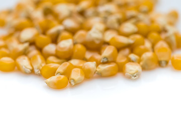 Popcorn Seeds, Studio Close Up Shot, on White Background