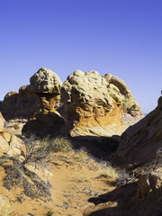 South Coyote Buttes