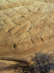 South Coyote Buttes