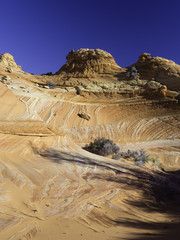 South Coyote Buttes