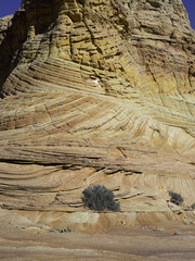 South Coyote Buttes