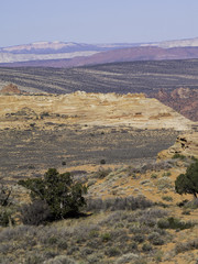 Naklejka premium South Coyote Buttes
