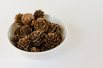 White Bowl Full of Pine Cones on Simple Background