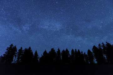 Crater Lake National Park Views and Scenic Backgrounds Oregon USA
