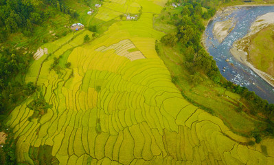 Himalayan Rice Fields
