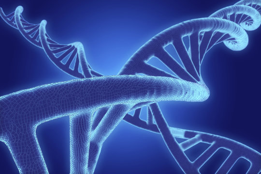 DNA (deoxyribonucleic acid) molecules, computer illustration.