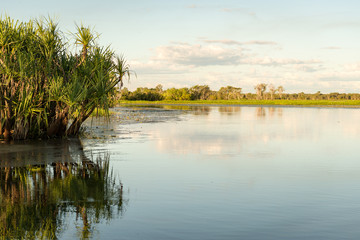 Fototapeta na wymiar Lagoon with pandanus palms