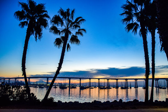 Sunrise Behind the San Diego Bay Bridge