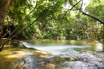 Waterfall with green tree in forest