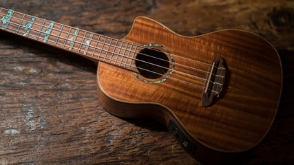 Fototapeta premium Little masterpiece of music emerging from shadows