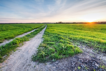 Rural road at sunset in the field
