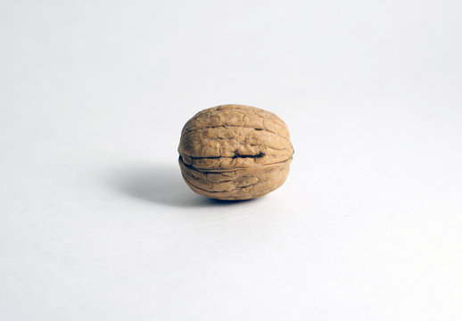  Single Walnut Isolated on White