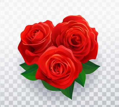 Vector beautiful red roses in shape of heart floral decorative element with transparent shadow