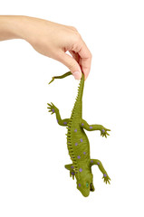 Silicone toy iguana in hand isolated on white background. Exotic animal game.
