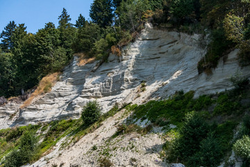 cliff covered with green and forest on the top