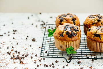 Chocolate chip muffin