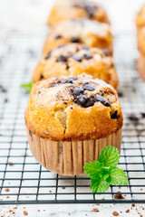 Chocolate chip muffin