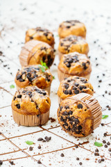 Chocolate chip muffin