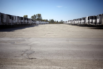 Rows of refrigerated trailers parked at a depot