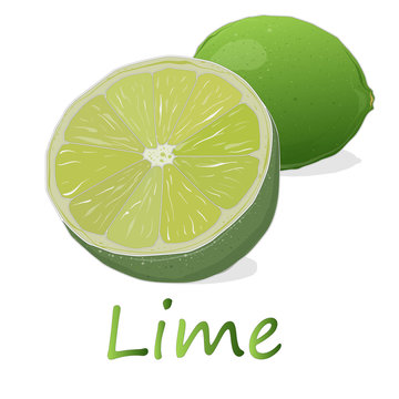 Juicy lime on white background.