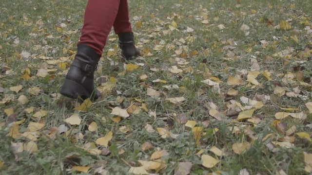 Woman walking in the autumn forest park Full HD video. Close-up of female feet steps on fallen leaves