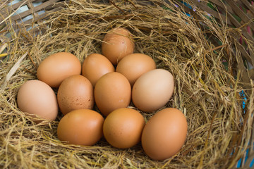 Eggs