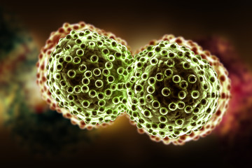 3d rendered Digital illustration of lung cancer cells in color background