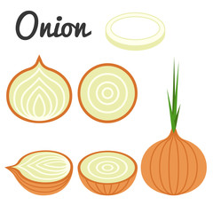 Vector set of fruit and vegetable, onion