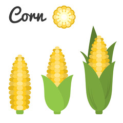 Vector set of fruit and vegetable, corn