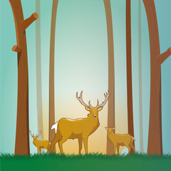 deers and landscape