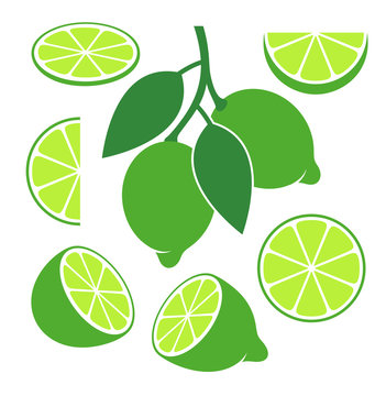 Lime set. Isolated lime on white background
