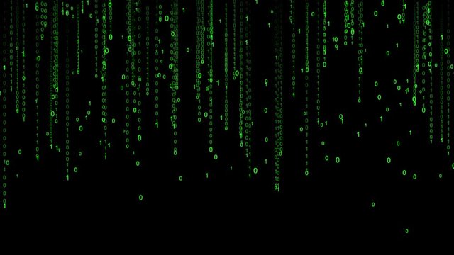 Binary rain. Abstract backdrop background. Digital Data Stream Matrix Effect. Green numbers digits zero ones streams. Seamless loop. Stream start and finish from clear screen.
