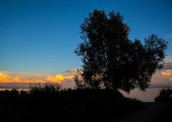 Evening landscape of the Lake Constance or Bodensee in Germany