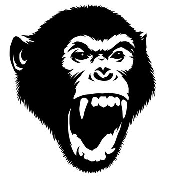 black and white linear paint draw monkey illustration