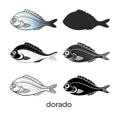 Set of sea fish on white background. Dorado. Vector shape.