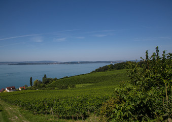 Fototapeta na wymiar Landscape of the Lake Constance or Bodensee in Germany
