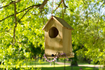 a house for birds summer