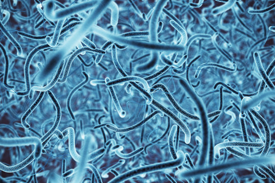 Blue bacteria wallpaper