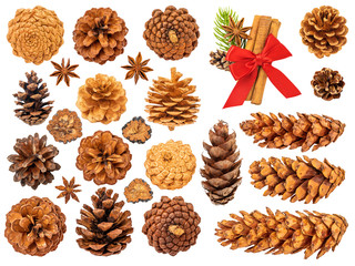 Christmas Pine Cones Isolated on White Background