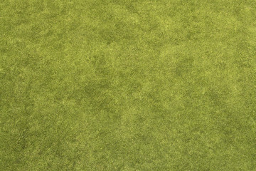 Grass Texture - Powered by Adobe