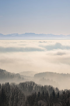 Nebel 02