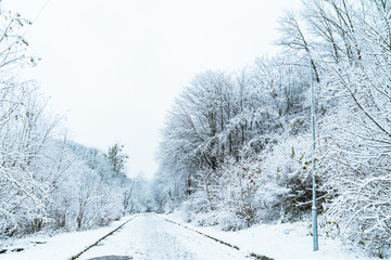 city park in snow in winter morning